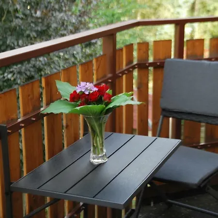 Ferienwohnung Brauer